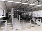 Dairy Farm Goat Milking Machines Stainless Steel Milking System