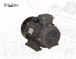 Power Hollow Shaft/Solid Shaft IP54/IP55 Voltage DC Motor for Industrial