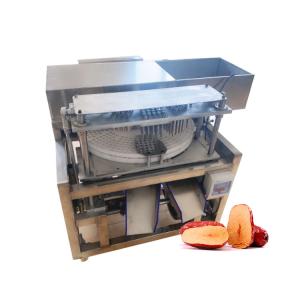 China 84000pcs/h Electric Cherry Pitter Calcium Fruit Pitting Machine Cherry Destone Machine factory