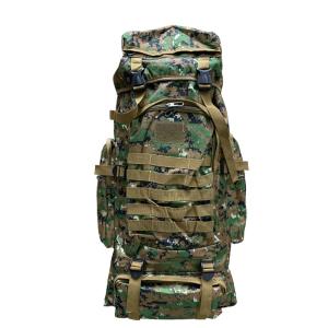 China 80L Waterproof Mountaineering Bag Hiking Backpack for Outdoor Enthusiasts' Adventures factory