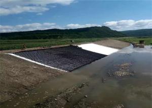 China High Intensity Plastic 1.6mm Geocell For Road Construction factory