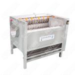 New Design Best Fruit And Vegetable Wash 2023 Promotional