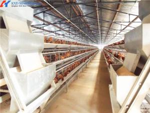 China A Type Battery Layer Cage Poultry Farming Cage System With Automatic Feeding Machine factory