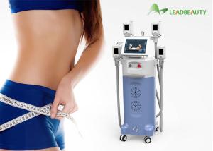 China fat freeze weight loss body sculpting portable cryolipolysis slimming slim machine vertical factory