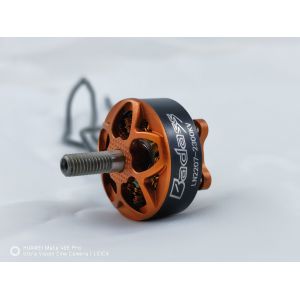 Drone Motor LN2207D24-001 for 5inch Racing Drone
