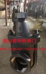 China clip gate valve factory