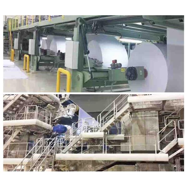 Cup paper 50gsm Natural Color PE Coated Kraft Paper / Cup Paper Single Side Coated In Rolls