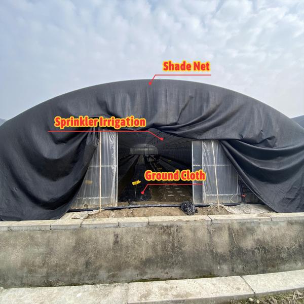 Galvanized Steel Frame Mushroom Growing Shade Net Greenhouse for Agricultural