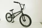 Hi-Ten Frame BMX Freestyle Bicycle 20 Inch 2.1 Inch