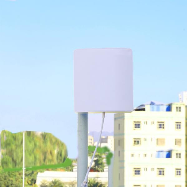 30CM Cable Length High Gain Directional 700-2700mhz LTE MIMO Outdoor 4G LTE