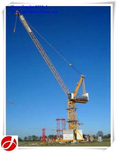 China 10t 50m boom luffing tower crane factory