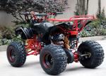 Single Cylinder 125cc Atv Quad Bike Four Wheelers 4 X 4 With Rear Rack / Bright