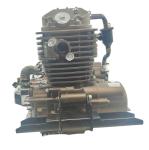 DAYANG 320cc Motorcycle Engine Assembly Single Cylinder Four Stroke Style