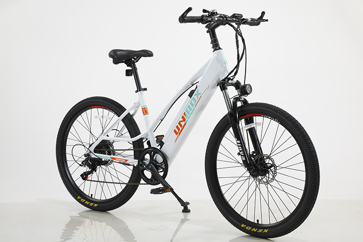 Customized 6 Speed Lithium Battery Electric Mountain Bike for Off-Road Adventures