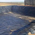 Modern Design HDPE Geomembrane for Landfill Sites Sewage Treatment Plants Fish