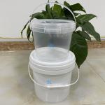 Custom Logo Printed Food Grade Plastic Bucket Silk Screen/Heat Transfer/IML