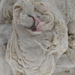 Good Taste Sheep Intestine Casing Animal Casing Naturally White