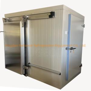 China Small Refrigerant PU/PIR Sandwich Panel Cold Storage Cold Room for Storage Solutions factory