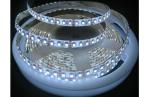 3528 SMD LED Strip Light