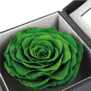 China Green Forever Rose In A Box , Elegant Square Everlasting Roses In A Box on sale