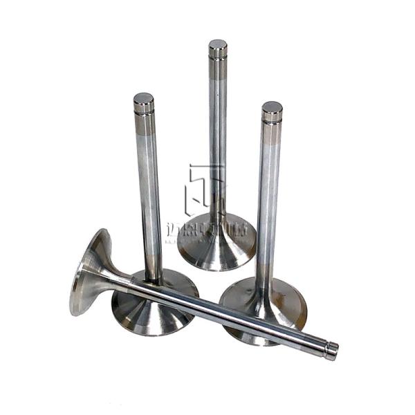 Exhaust Valve 04254233 04283379 04289801 04250072 04250138 0425 4233 0428 3379