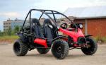 Automatic 150cc Adult 2 Person Go Kart With Front And Rear Oil Shock
