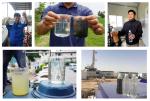 500KG Sand and Activated Carbon Waste Water Filter for Pond Water Purification
