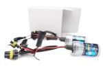 3250lm HID Bulbs For Projector Headlights H11 55W 12000K