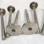 High Quality Excavator Auto Parts Engine Parts NT855 Exhaust Valve 3040830