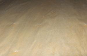 China Crown Cut Birch Wood Veneer Golden With 0.5mm Thickness For Wall Panels factory