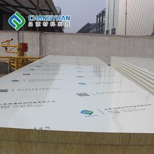 China ODM Cleanroom Wall Panel Class A Fireproof Rating insulated wall panels factory