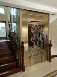 ORIA mordenized home resident home Villa elevator