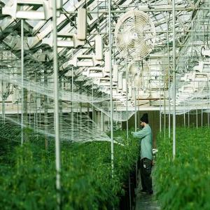 China Galvanized Stainless Steel Greenhouse Solar Mounting Structure factory