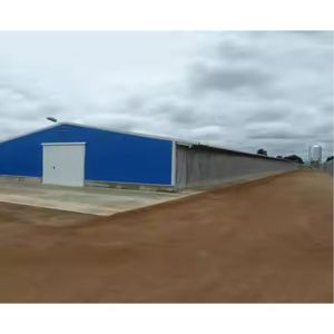 Commercial Prefabricated Steel Building Durable Easy Install For Broiler