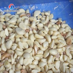 Garlic Peeling Machine garlic Destoning Peeling & polishing processing