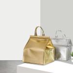 Insulated L28cm Picnic Food Bag for Outdoor Lunch