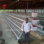 Semi Automatic Poultry Farming Cage System , 380V 1.5KW Egg Layer Cages Ada