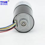 Reversible 37mm DC Spur Gear Motor 15w DC Gear Motor 12V 60 Rpm