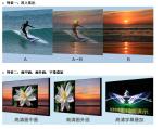 LVP603 / LVP603s LED Display Accessories , LED Video Processor VD 3 - Composite