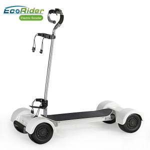 China Golf 4 Wheel Skateboard Folding Electric Scooter 10.5 Inch Tire For Outdoor Tour factory