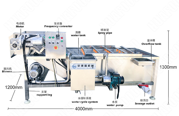 Automatic Ultrasonic Fruit Vegetable Washing Machine And Blanching Machine