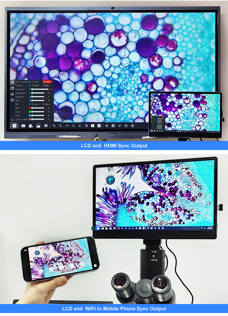 11.6" 8.0M Digital Microscope Camera with 4K 3840x2160 Resolution