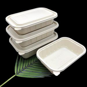 China Customizable Compostable To Go Containers 380ml/500ml/650ml/750ml/1000ml factory