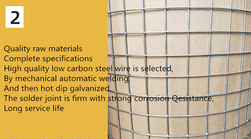 Stainless Steel Welded Wire Mesh Fence Panels 3.8mm 12 Gauge Wire Mesh Fencing