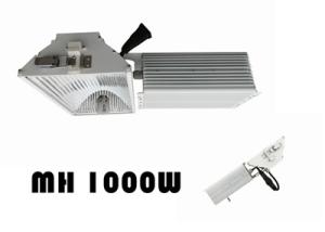 China FCC 3100K CMH Light , 1000w Cmh Grow Light Digital Electronic Ballast factory