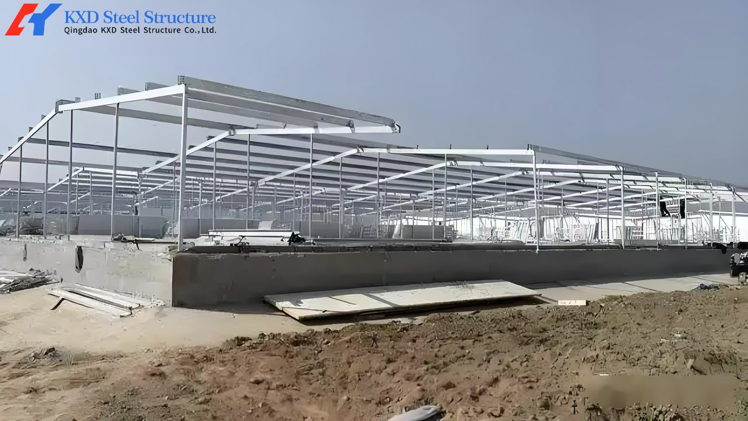 Complete Controlled Poultry Shed Prefabricated Steel Structure Chicken House for Farm Building