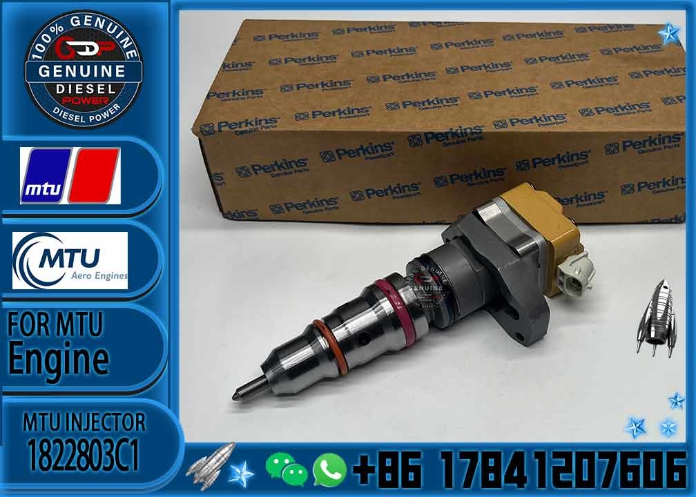 1306 Series Diesel Fuel Injector 2593597C91 AP63812BN BN1830691C1 1822803C1