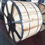 Customer Specified Distribution Transmission Line 11kv Swa 50 Sq mm Copper