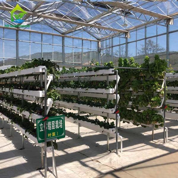 China Customized Soilless Gardening Systems Vertical Hydroponic Farming Equipment factory