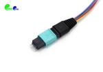 MPO Trunk Cable OM3 12F Fanout 0.9mm MPO Male to LC UPC With Auqe LSZH Fiber